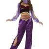 Arabian Princess Fancy Dress Costume