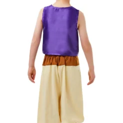Classic Aladdin Boys Costume -Hot Sale Cosyumes Store lrgscale300274 03