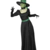 Wicked Witch Halloween Costume -Hot Sale Cosyumes Store lrgscale33134