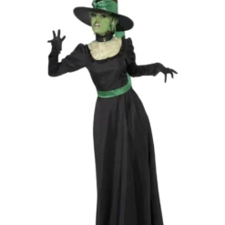 Wicked Witch Halloween Costume