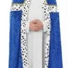 Blue Wise Man Costume -Hot Sale Cosyumes Store lrgscale3470 scaled
