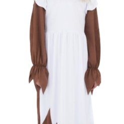 Poor Victorian Girls Costume