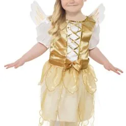 Angel Fairy Costume