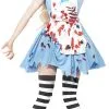 Zombie Malice Costume