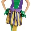 Carnival Jester Ladies Costume