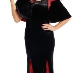 Queen Of Evil Ladies Costume