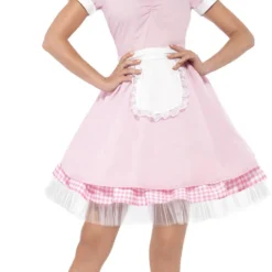 50s Diner Girl Ladies Costume