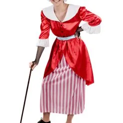 Ladies Old Fairy Tale Mother Costume