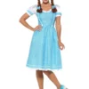Kansas Country Girl Ladies Costume -Hot Sale Cosyumes Store lrgscale47301