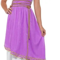Grecian Goddess Ladies Fancy Dress Costume -Hot Sale Cosyumes Store lrgscale47469 A1
