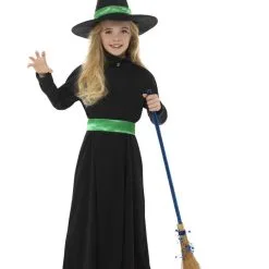 Wicked Witch Fancy Dress
