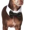 Bow Tie & Cuff Set Dog Accessory -Hot Sale Cosyumes Store lrgscale580101