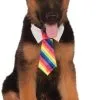 Rainbow Tie Dog Accessory -Hot Sale Cosyumes Store lrgscale580347