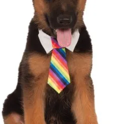 Rainbow Tie Dog Accessory