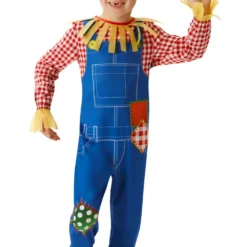 Mr Scarecrow Boys Costume