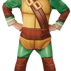 TMNT Half Shell Hero Boys Costume