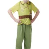 Peter Pan Boys Costume -Hot Sale Cosyumes Store lrgscale641191