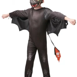 Toothless Boys Costume
