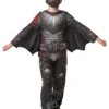 Deluxe Battlesuit Hiccup Boys Costume -Hot Sale Cosyumes Store lrgscale641472