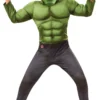 Deluxe Hulk Boys Fancy Dress -Hot Sale Cosyumes Store lrgscale700686