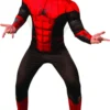 No Way Home Mens Spiderman Costume