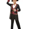 Deluxe Swashbuckler Pirate Boys Costume -Hot Sale Cosyumes Store lrgscale71035 A2