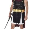 Roman Soldier Mens Costume 1 Roman Soldier Mens Costume -Hot Sale Cosyumes Store lrgscale82062