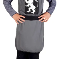 Sir Galahalt Fancy Dress