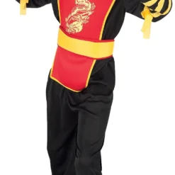 Ninja Master Fancy Dress