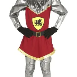Dragon Knight Boys Costume