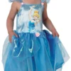 Cinderella Ballerina Costume