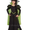 Wicked Witch Of The West Fancy Dress -Hot Sale Cosyumes Store lrgscale886489