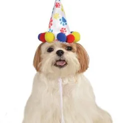 Paw Print Birthday Dog Accessory