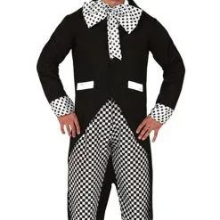Mens Crazy Hatter Costume
