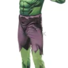 Mens Hulk Deluxe Costume -Hot Sale Cosyumes Store lrgscale887430