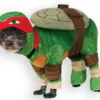 Raphael TMNT Pet Dog Costume
