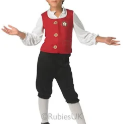 Tudor Boy Fancy Dress Costume