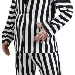 Deluxe Beetlejuice Mens Costume