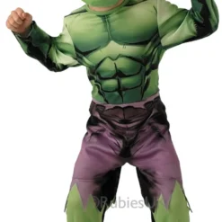 Boys Hulk Costume
