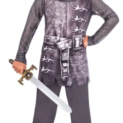 Gallant Knight Costume