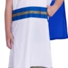 Blue Caesar Boys Costume 1 Blue Caesar Boys Costume -Hot Sale Cosyumes Store lrgscale9906402 scaled