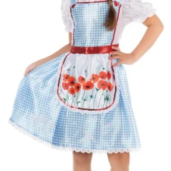 Dorothy Fairy Tale Girl Costume