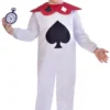Curious White Rabbit Boys Costume