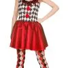 Harlequin Jester Ladies Costume