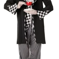 Dark Mad Hatter Mens Costume