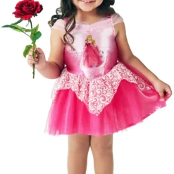 Ballerina Sleeping Beauty -Hot Sale Cosyumes Store lrgscaleSleeping20beauty20rose20front