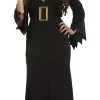 Wicked Witch Ladies Costume -Hot Sale Cosyumes Store lrgscaleV00318 scaled