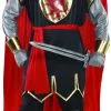 Mens Brave Crusader Knight Fancy Dress Costume -Hot Sale Cosyumes Store lrgscalecrusaderknight2