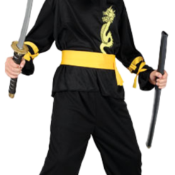 Boys Dragon Ninja Costume