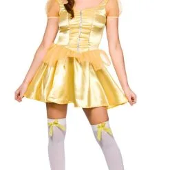 Beautiful Princess Ladies Costume